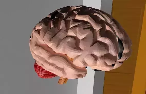 Mind and personality anime and home