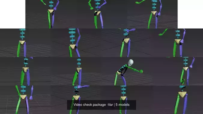 Video check package -Var 3D Model Collection