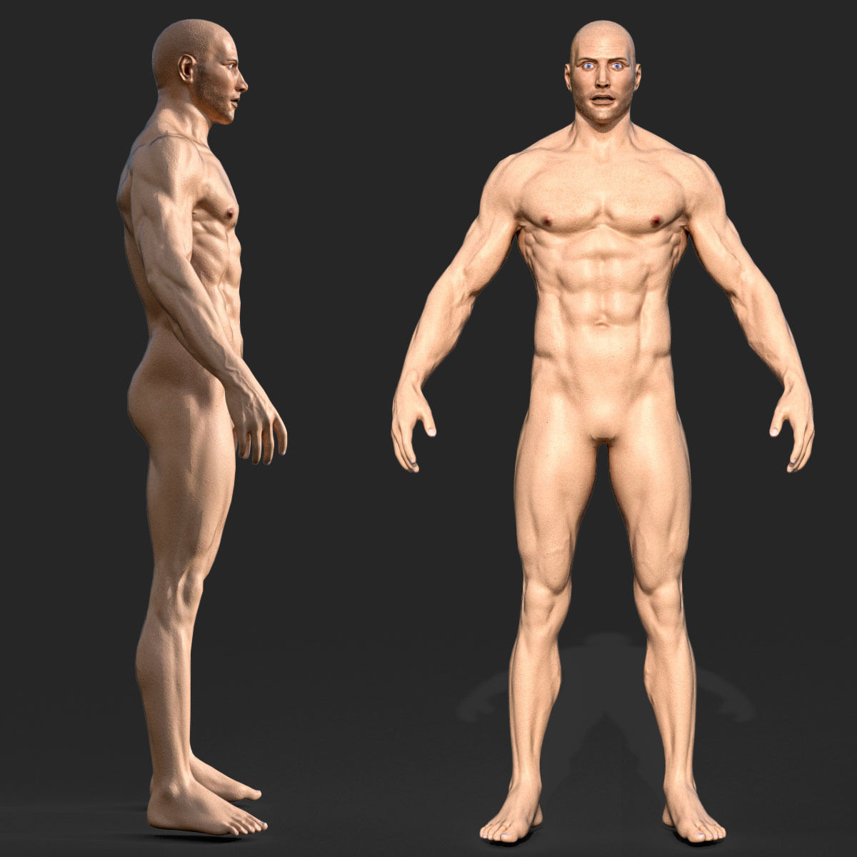 Rigged Male Muscular GAME READY 3d model Low-poly 3D model_0