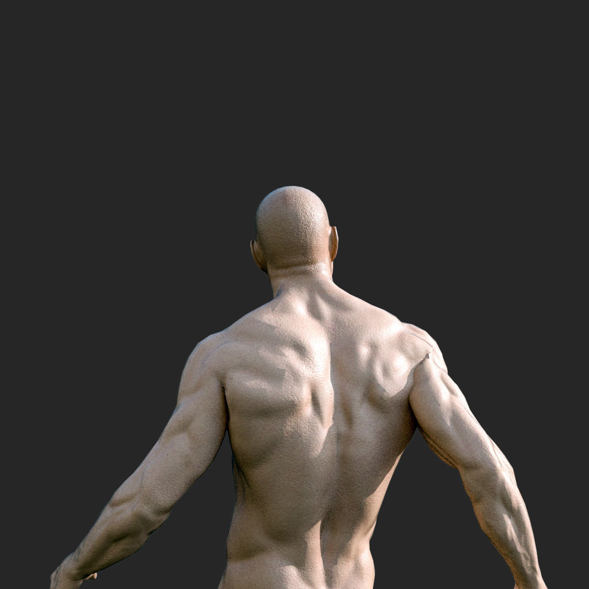 Rigged Male Muscular GAME READY 3d model Low-poly 3D model_2