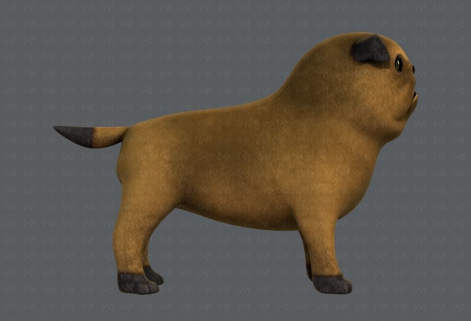 Dog base cartoonV04 Low-poly 3D model_3