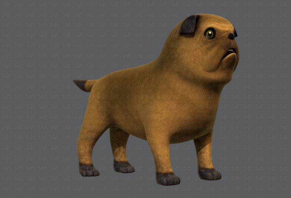 Dog base cartoonV04 Low-poly 3D model_2