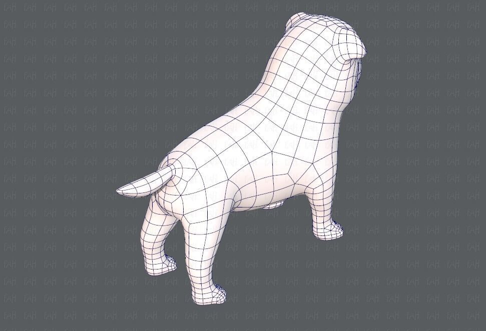 Dog base cartoonV04 Low-poly 3D model_28