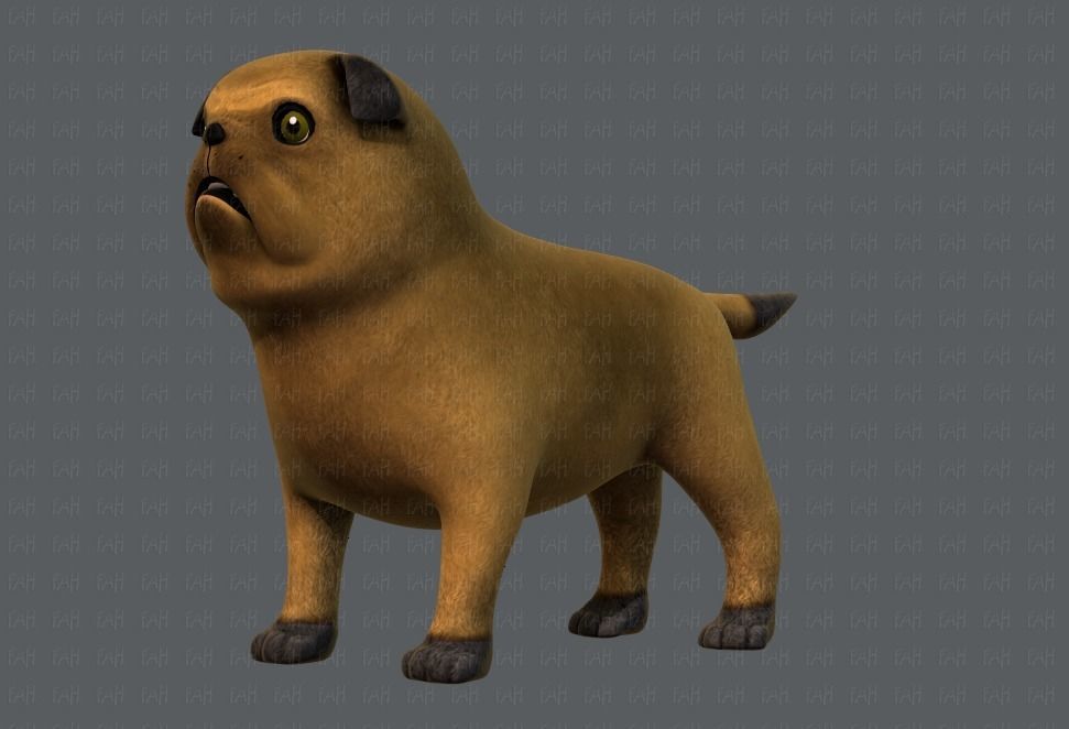 Dog base cartoonV04 Low-poly 3D model_8