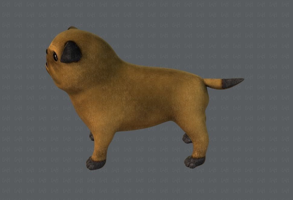 Dog base cartoonV04 Low-poly 3D model_23
