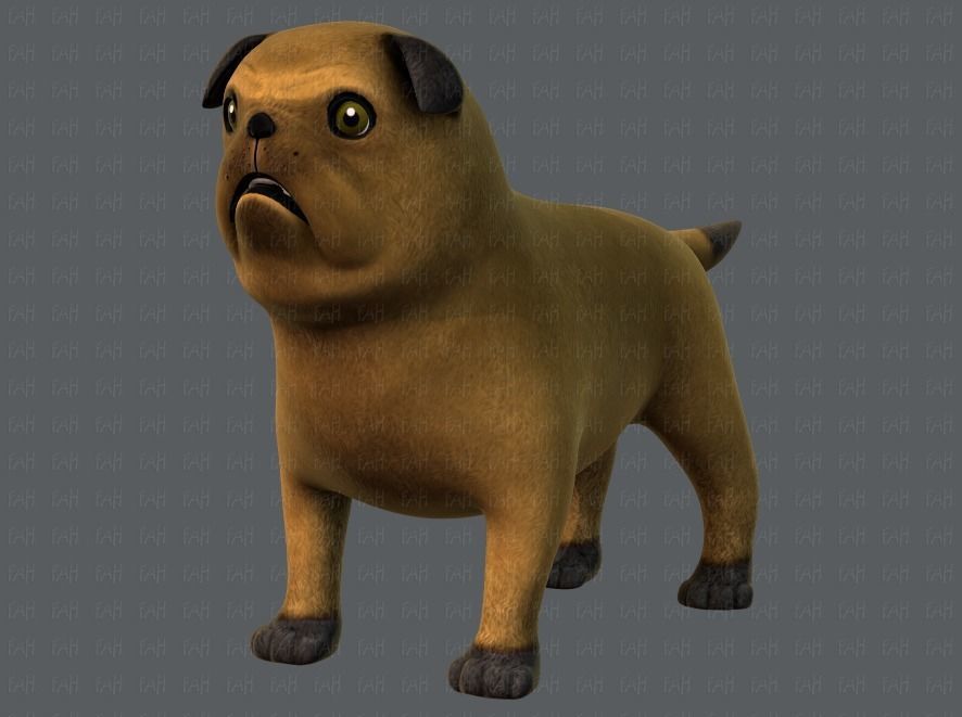 Dog base cartoonV04 Low-poly 3D model_37