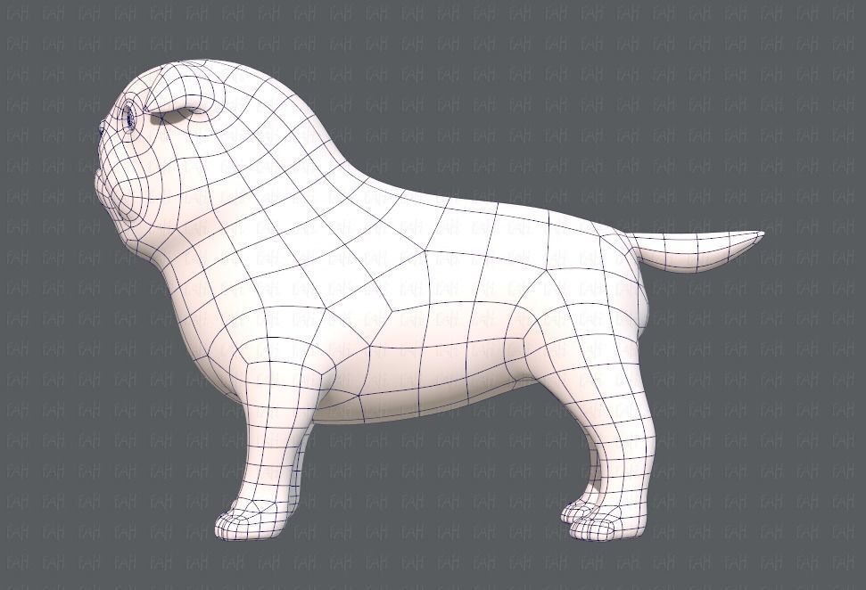 Dog base cartoonV04 Low-poly 3D model_15