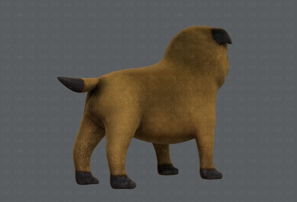 Dog base cartoonV04 Low-poly 3D model_4