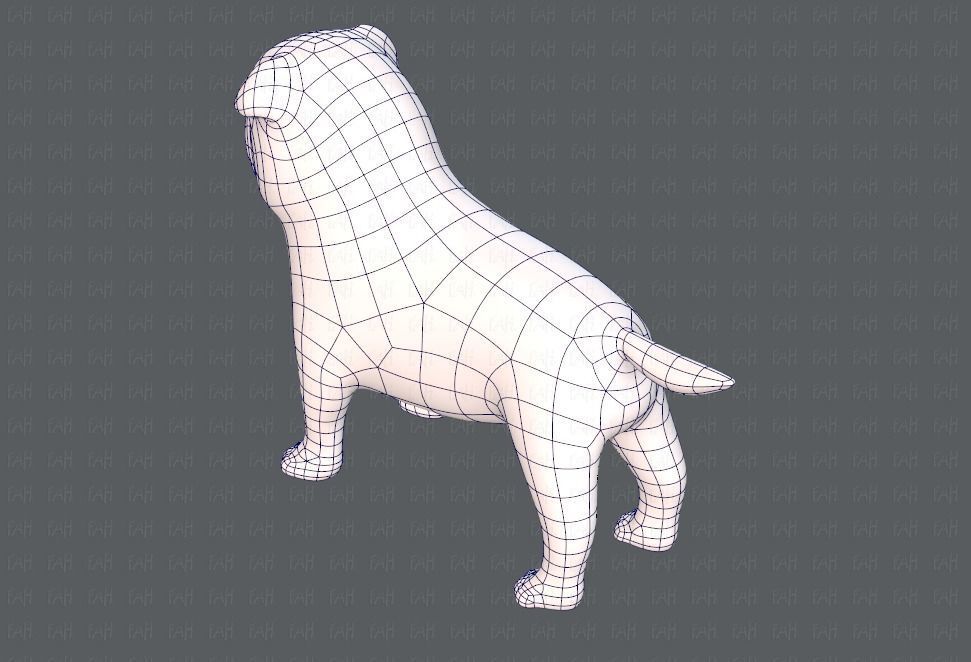 Dog base cartoonV04 Low-poly 3D model_30