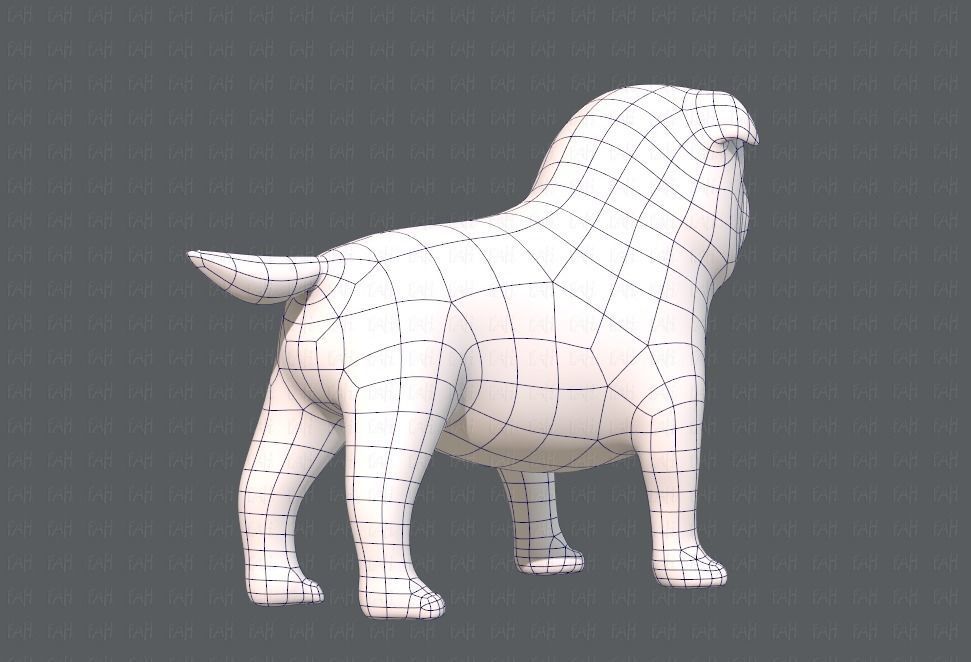Dog base cartoonV04 Low-poly 3D model_12