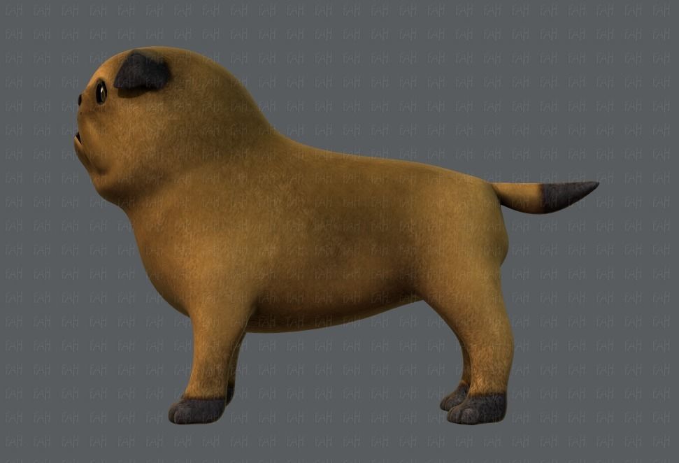 Dog base cartoonV04 Low-poly 3D model_7
