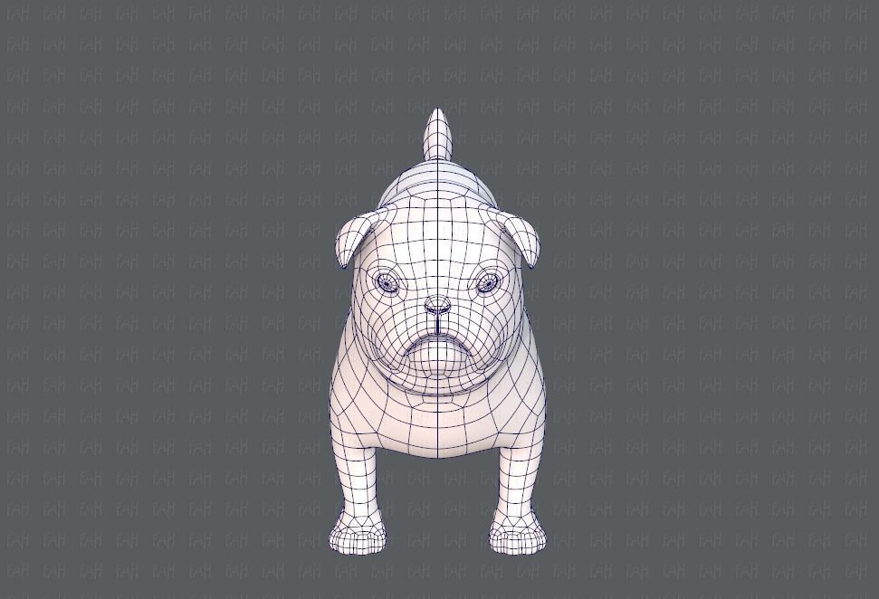 Dog base cartoonV04 Low-poly 3D model_25