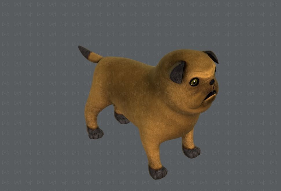 Dog base cartoonV04 Low-poly 3D model_18
