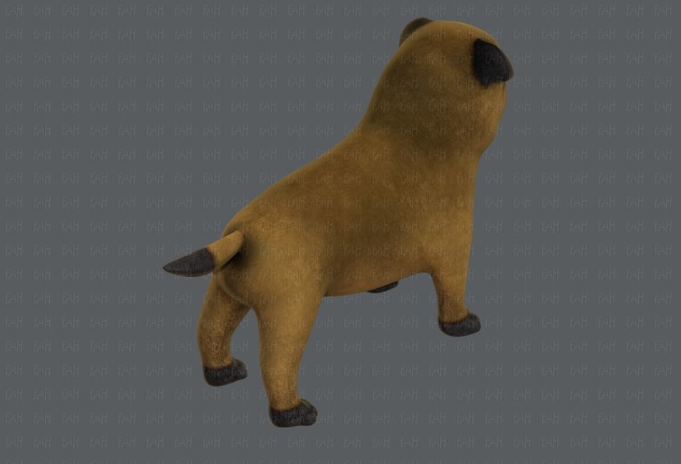 Dog base cartoonV04 Low-poly 3D model_20