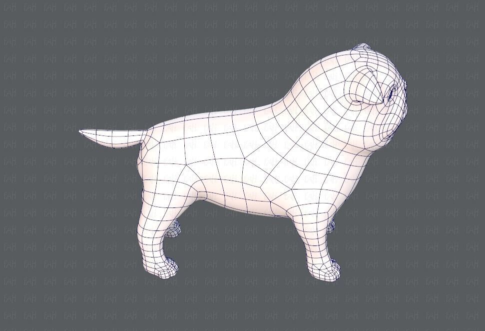 Dog base cartoonV04 Low-poly 3D model_27