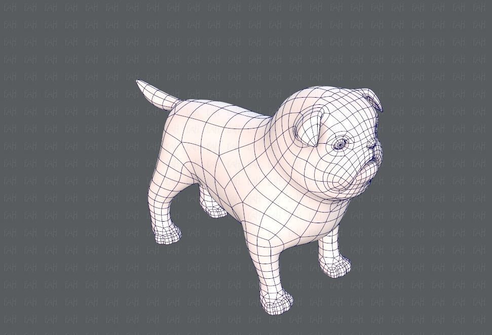 Dog base cartoonV04 Low-poly 3D model_26