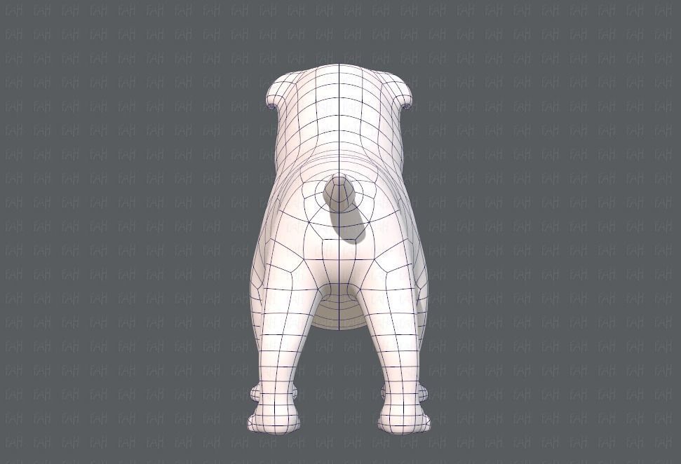 Dog base cartoonV04 Low-poly 3D model_13