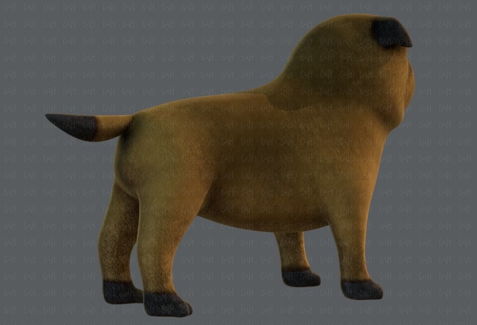Dog base cartoonV04 Low-poly 3D model_39