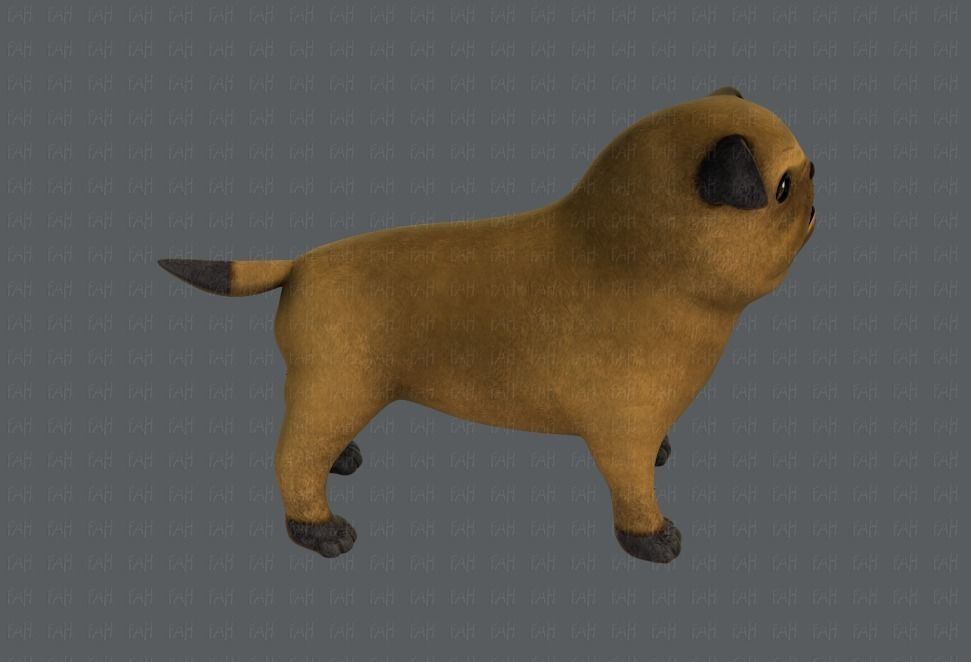 Dog base cartoonV04 Low-poly 3D model_19