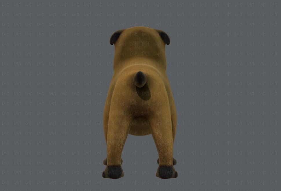 Dog base cartoonV04 Low-poly 3D model_5