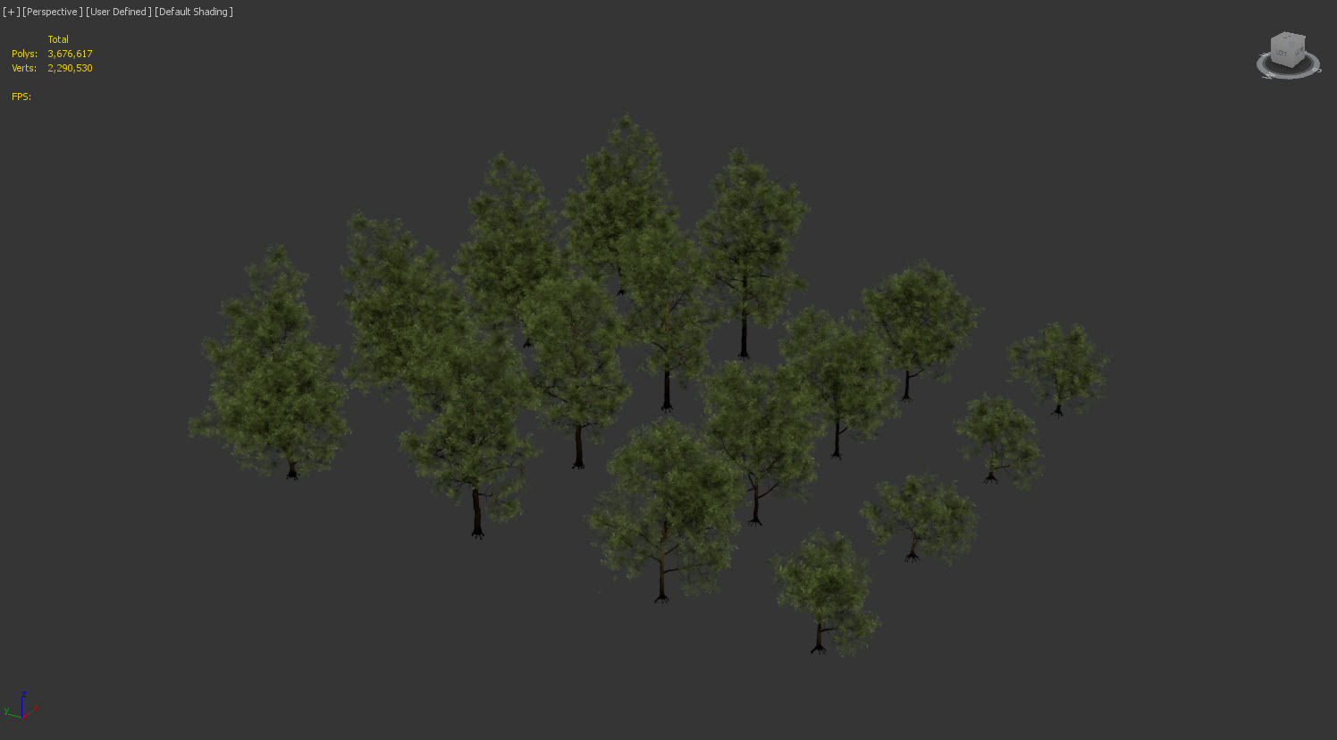 Blackwood pine forest 3D model_4