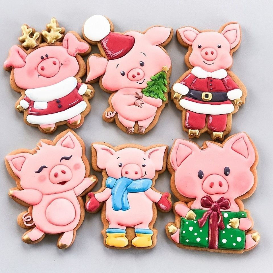 A SET OF PIGS FOR THE STAMP 2019