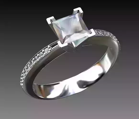 Ring Engagment Princess 3D print model