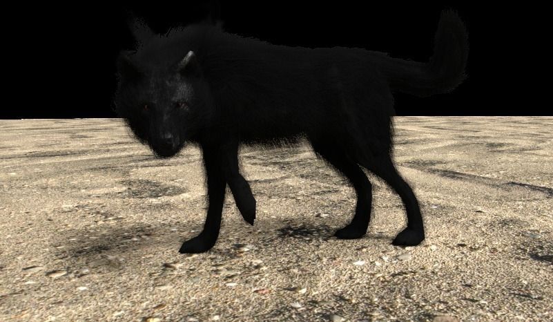 black red eyes wolf Free 3D model_0