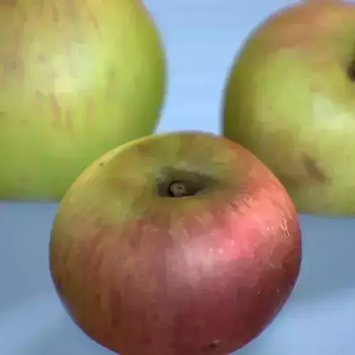 Bramley cooking apple fruit three pack  Low-poly 3D model