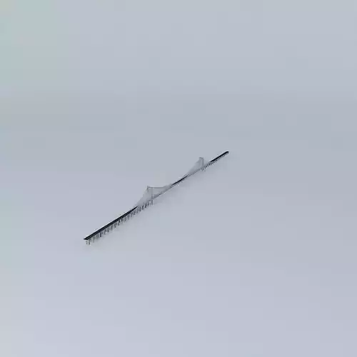 WIT Yangtze River Bridge