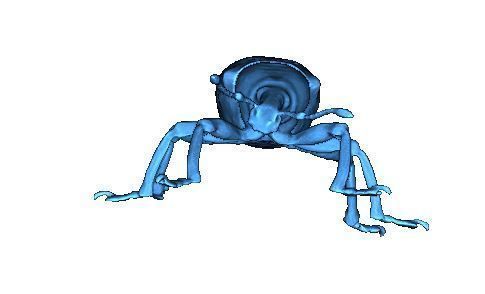 Beetle 3D print model_6