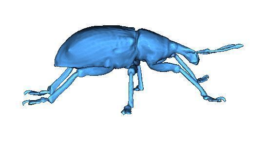 Beetle 3D print model_7