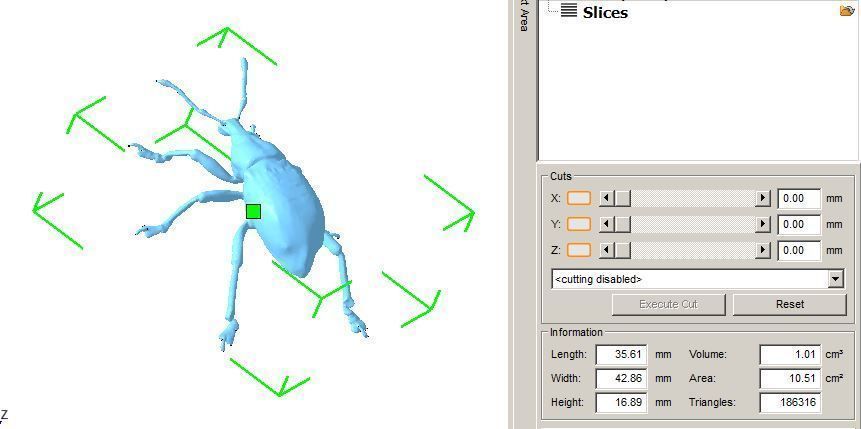 Beetle 3D print model_2