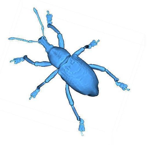 Beetle 3D print model