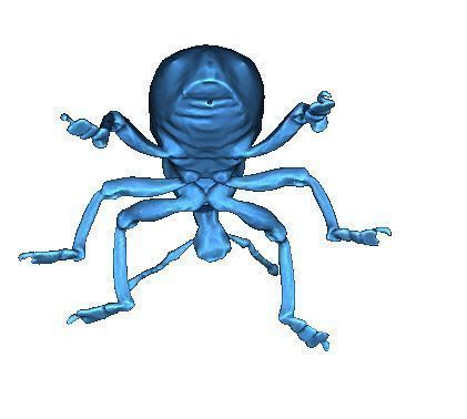 Beetle 3D print model_5