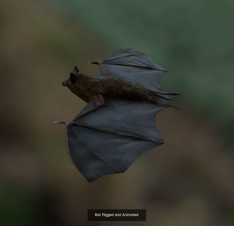 Rigged skinned and animated animal package 3D Model Collection_5