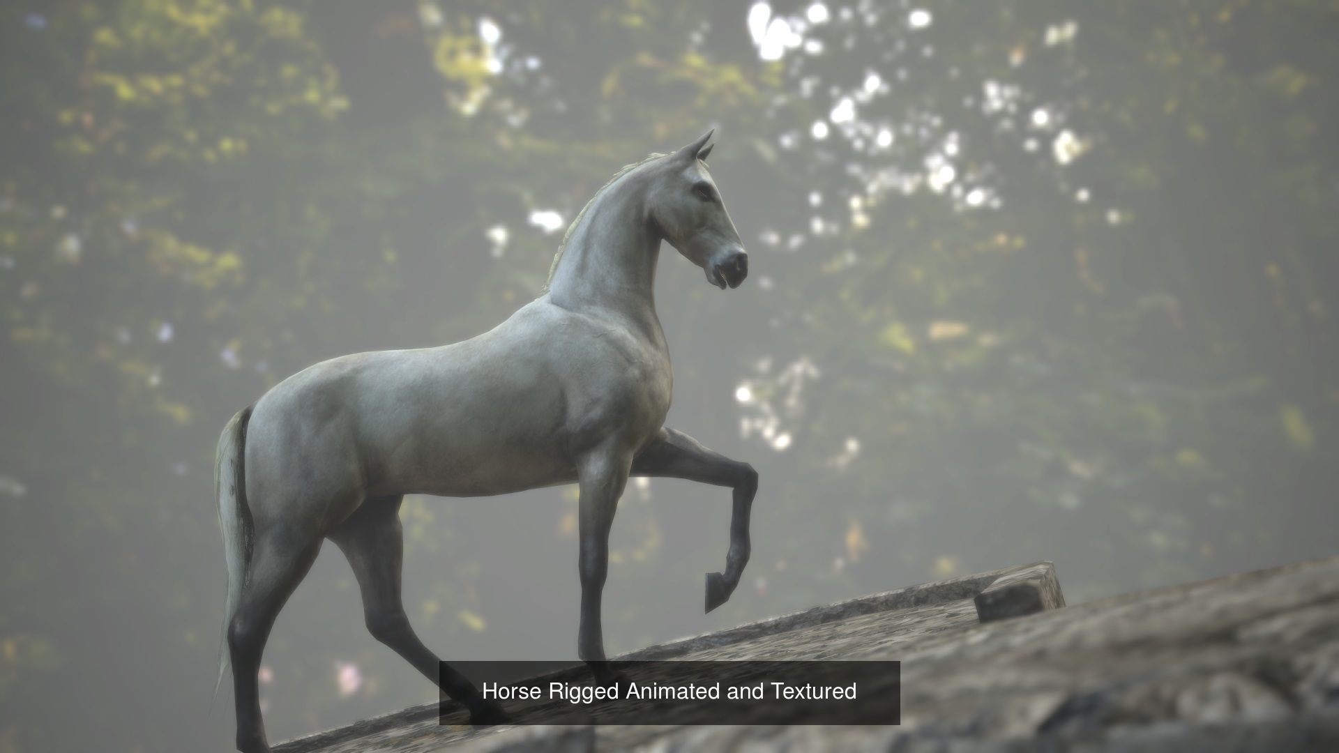 Rigged skinned and animated animal package 3D Model Collection_1