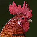 Rigged skinned and animated animal package 3D Model Collection_8