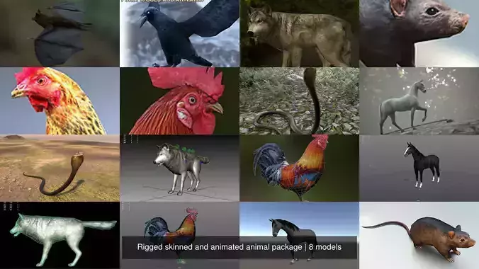 Rigged skinned and animated animal package 3D Model Collection