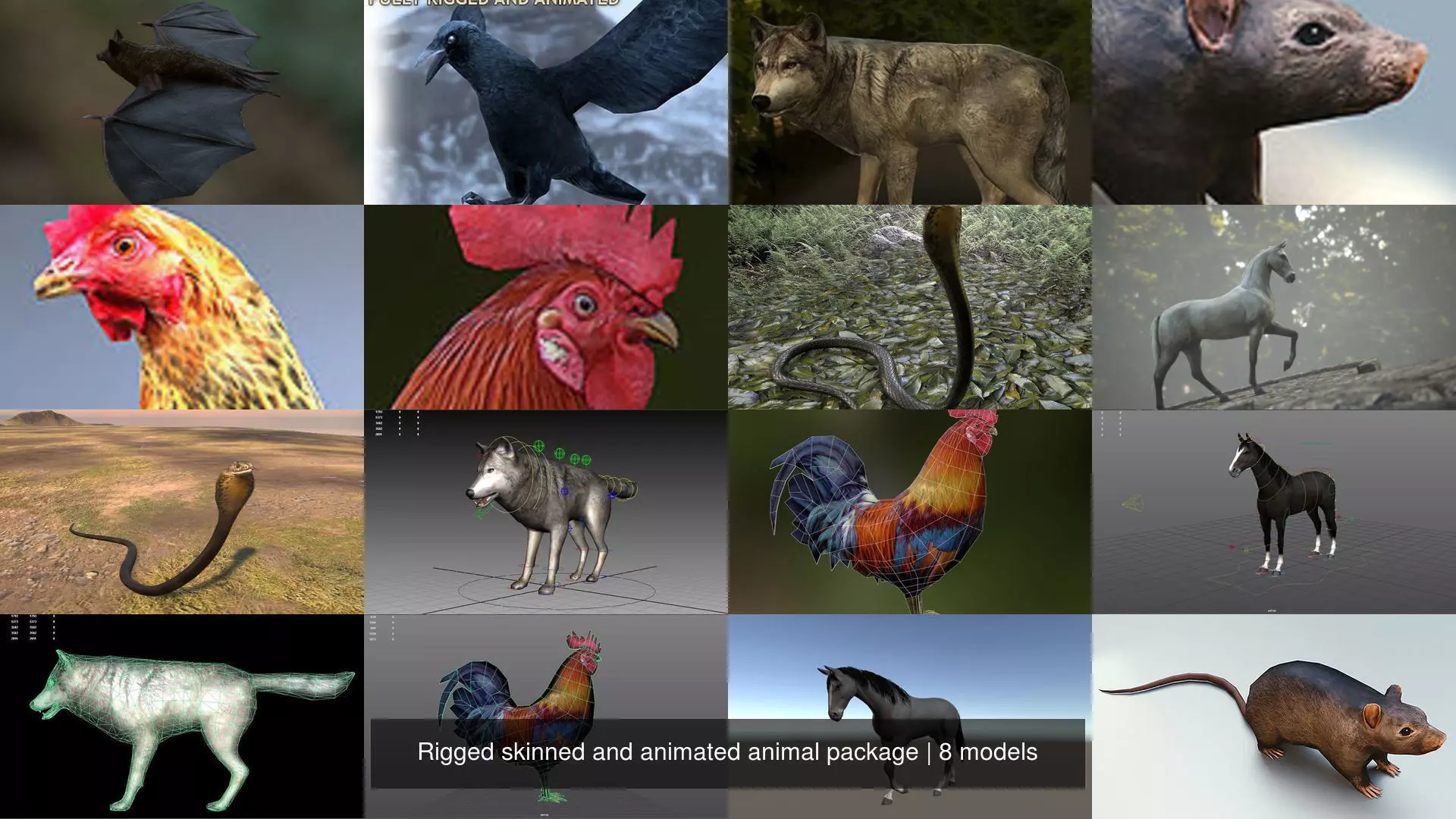 Rigged skinned and animated animal package 3D Model Collection_0