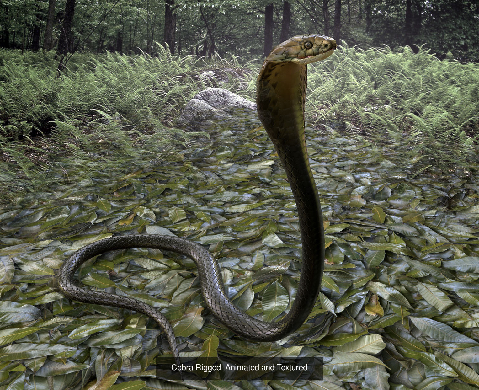 Rigged skinned and animated animal package 3D Model Collection_4