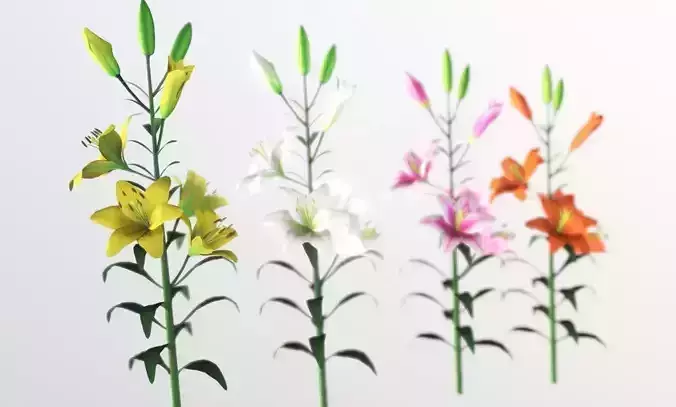 Flower LiLi Low-poly 3D model