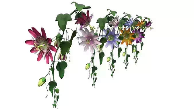 Flower paraguay Low-poly 3D model