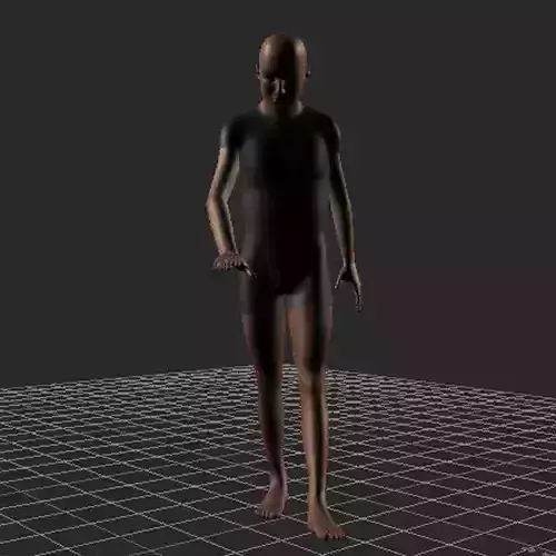 cane walk 3 3D model