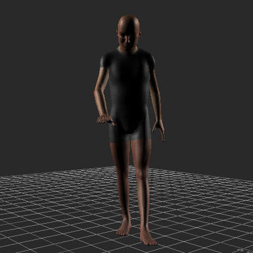 cane walk 3in1 3D model