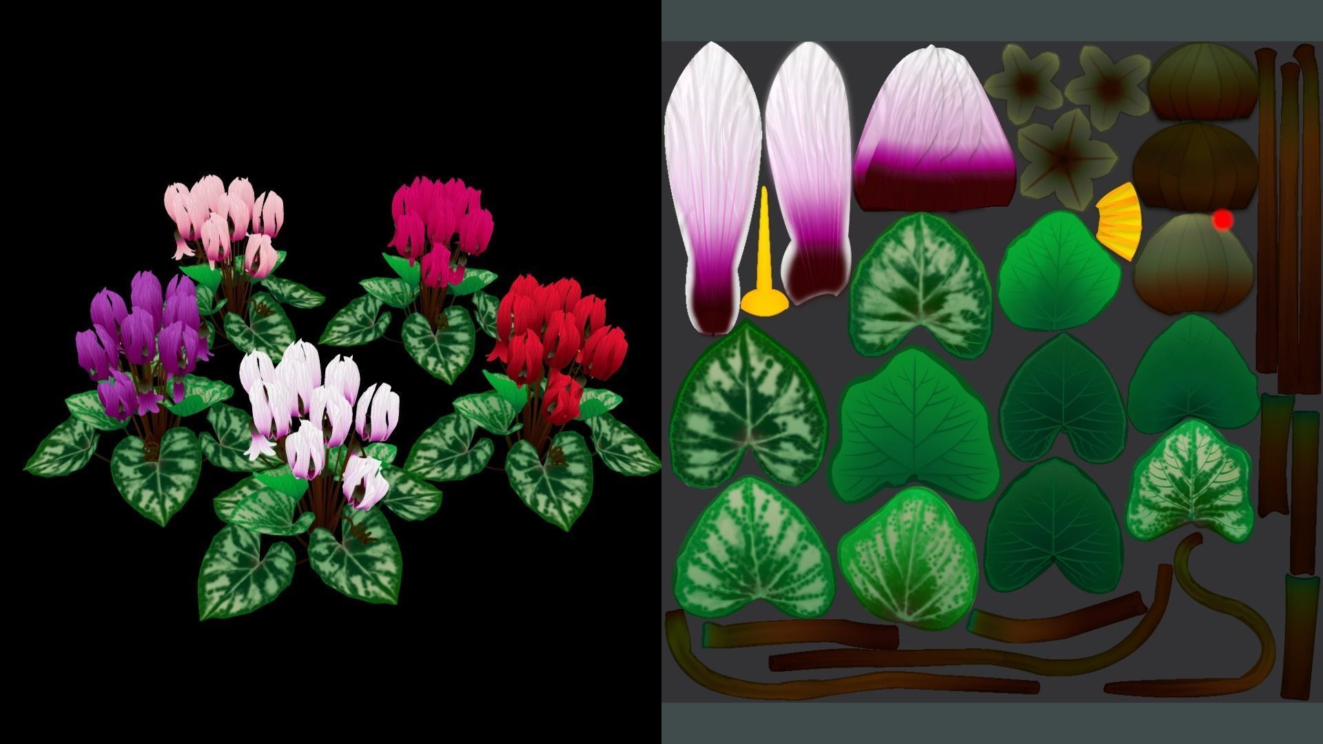 Flower Cyclacmen Low-poly 3D model_4