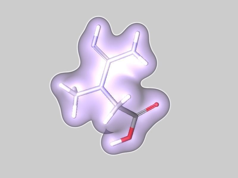 Creatine molecule 3D model_1