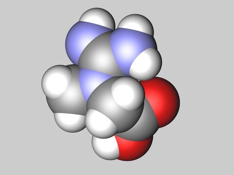 Creatine molecule 3D model_4