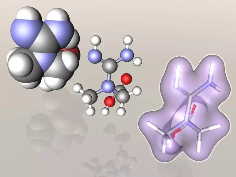 Creatine molecule 3D model_0