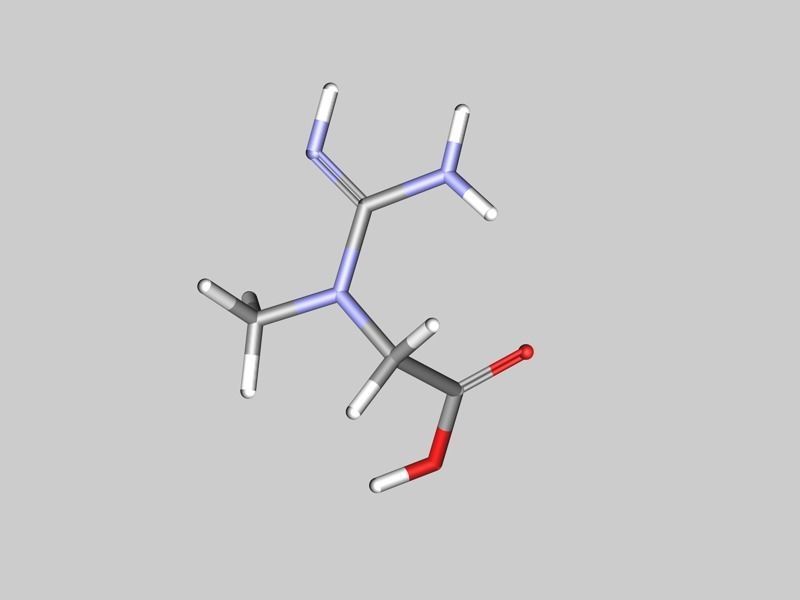Creatine molecule 3D model_2
